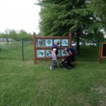 phoca_thumb_m_otvran zahrady 26 Fotogalerie